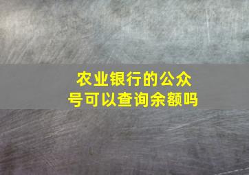 农业银行的公众号可以查询余额吗