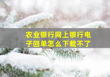 农业银行网上银行电子回单怎么下载不了