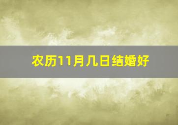 农历11月几日结婚好