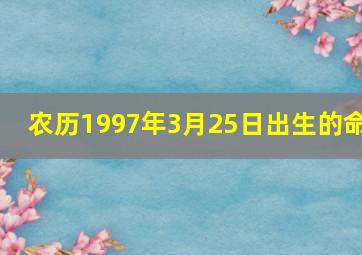 农历1997年3月25日出生的命