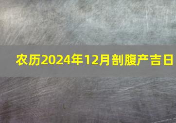 农历2024年12月剖腹产吉日