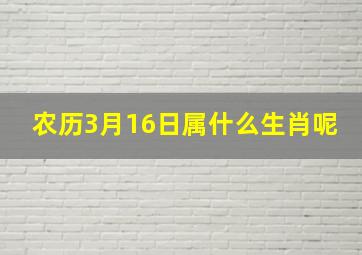 农历3月16日属什么生肖呢