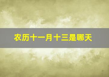 农历十一月十三是哪天