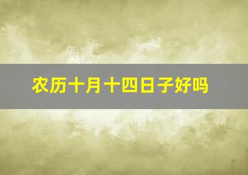 农历十月十四日子好吗