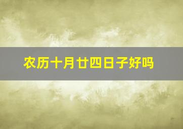 农历十月廿四日子好吗