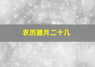 农历腊月二十几