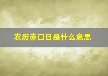 农历赤口日是什么意思