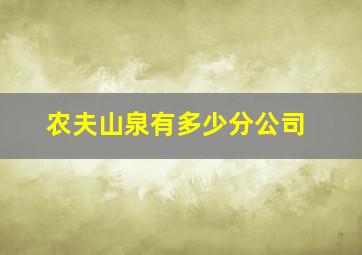 农夫山泉有多少分公司