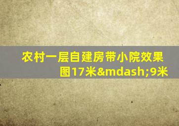 农村一层自建房带小院效果图17米—9米