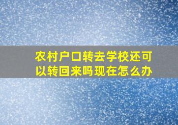 农村户口转去学校还可以转回来吗现在怎么办