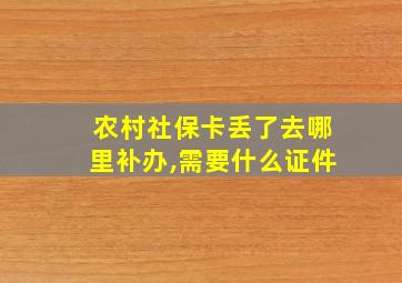 农村社保卡丢了去哪里补办,需要什么证件