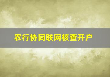 农行协同联网核查开户