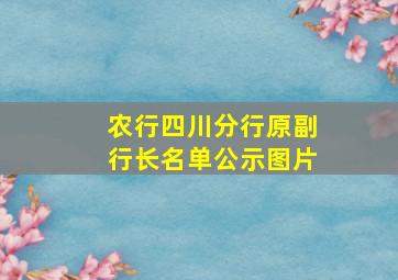 农行四川分行原副行长名单公示图片