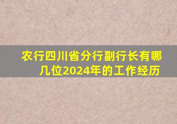 农行四川省分行副行长有哪几位2024年的工作经历