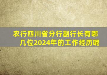 农行四川省分行副行长有哪几位2024年的工作经历呢