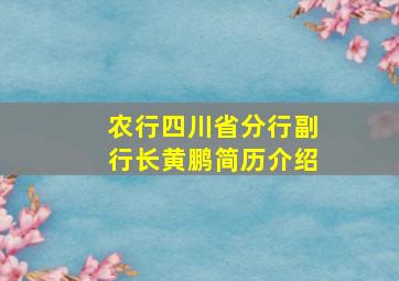 农行四川省分行副行长黄鹏简历介绍