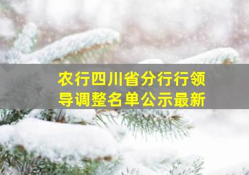 农行四川省分行行领导调整名单公示最新