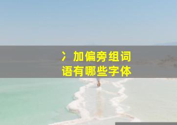 冫加偏旁组词语有哪些字体