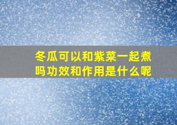 冬瓜可以和紫菜一起煮吗功效和作用是什么呢