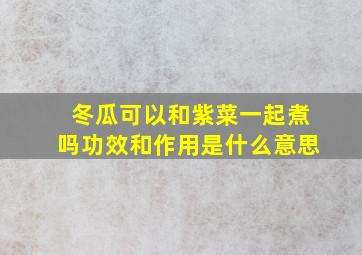 冬瓜可以和紫菜一起煮吗功效和作用是什么意思