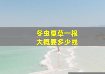 冬虫夏草一根大概要多少线