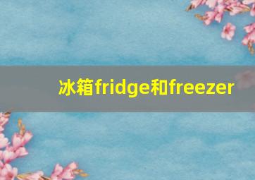 冰箱fridge和freezer