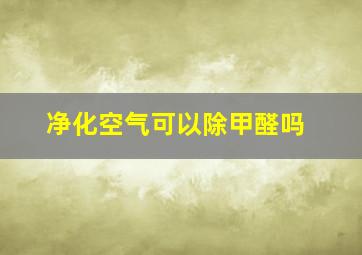 净化空气可以除甲醛吗