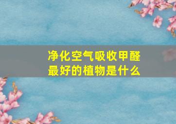 净化空气吸收甲醛最好的植物是什么