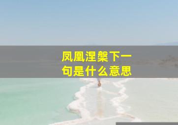 凤凰涅槃下一句是什么意思