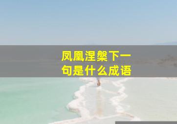 凤凰涅槃下一句是什么成语