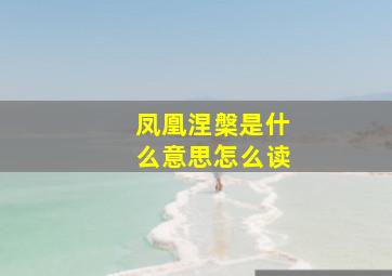 凤凰涅槃是什么意思怎么读