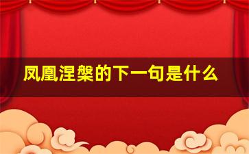 凤凰涅槃的下一句是什么