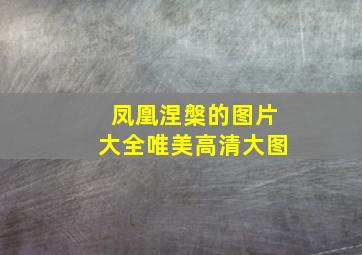 凤凰涅槃的图片大全唯美高清大图