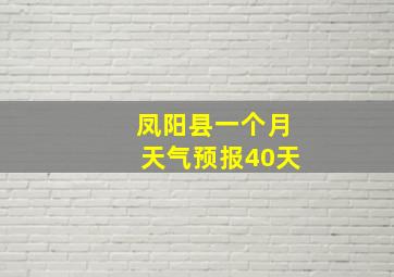 凤阳县一个月天气预报40天