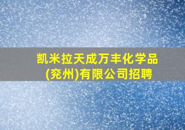 凯米拉天成万丰化学品(兖州)有限公司招聘