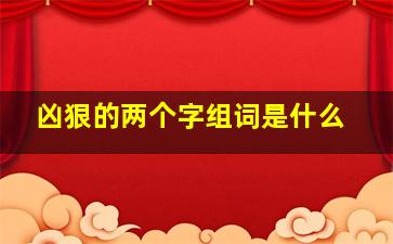 凶狠的两个字组词是什么