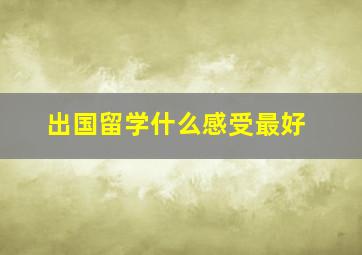 出国留学什么感受最好