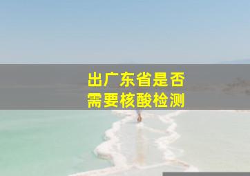 出广东省是否需要核酸检测