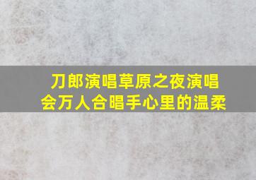 刀郎演唱草原之夜演唱会万人合晿手心里的温柔