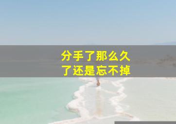 分手了那么久了还是忘不掉