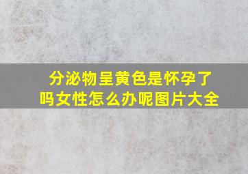 分泌物呈黄色是怀孕了吗女性怎么办呢图片大全