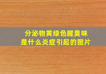 分泌物黄绿色腥臭味是什么炎症引起的图片