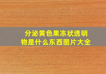 分泌黄色果冻状透明物是什么东西图片大全