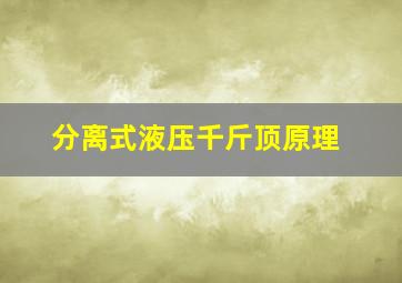 分离式液压千斤顶原理