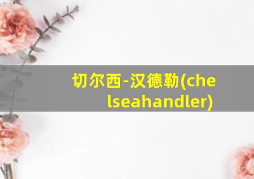 切尔西-汉德勒(chelseahandler)