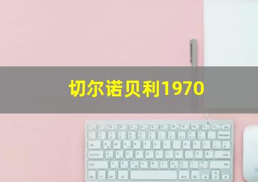 切尔诺贝利1970