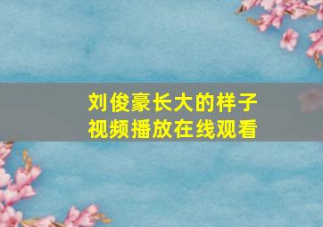 刘俊豪长大的样子视频播放在线观看