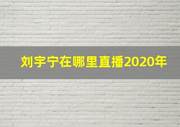 刘宇宁在哪里直播2020年