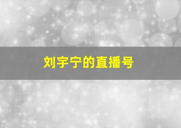 刘宇宁的直播号