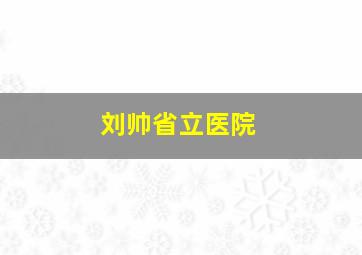 刘帅省立医院